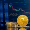 Usage of Cryptocurrencies For Commercial Activities in Turkish Law